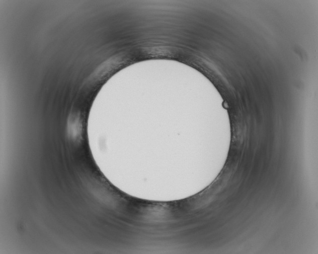 X0000114230124200911061535