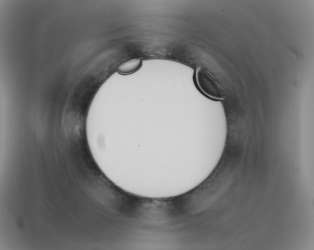 X0000114230125200911061535