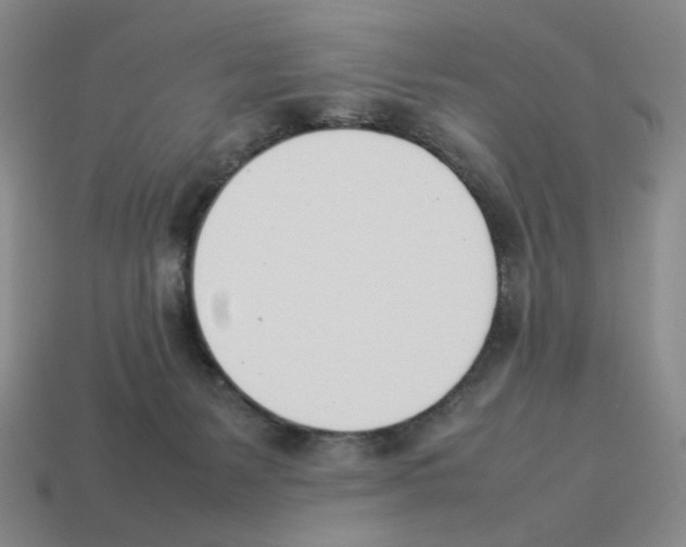 X0000114230127200911061535