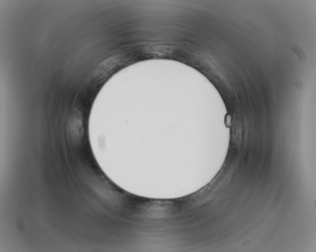 X0000114230128200911061535