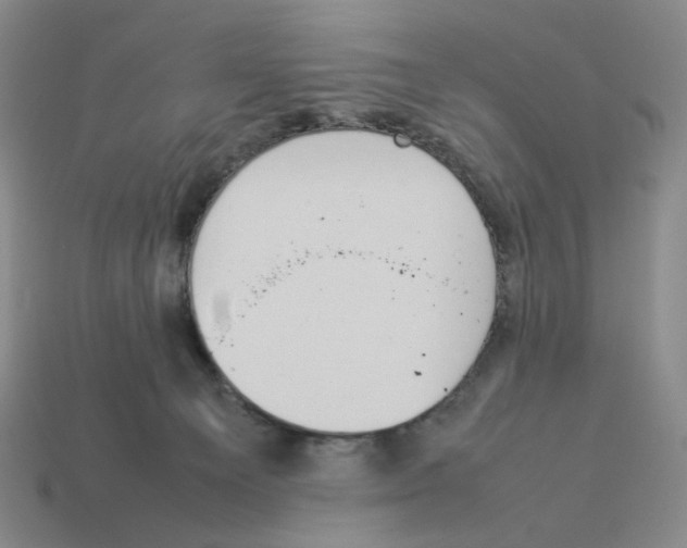 X0000114230129200911061535