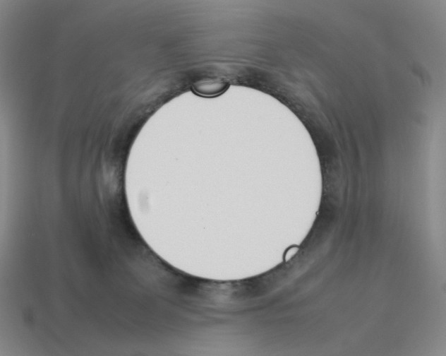 X0000114230131200911061535