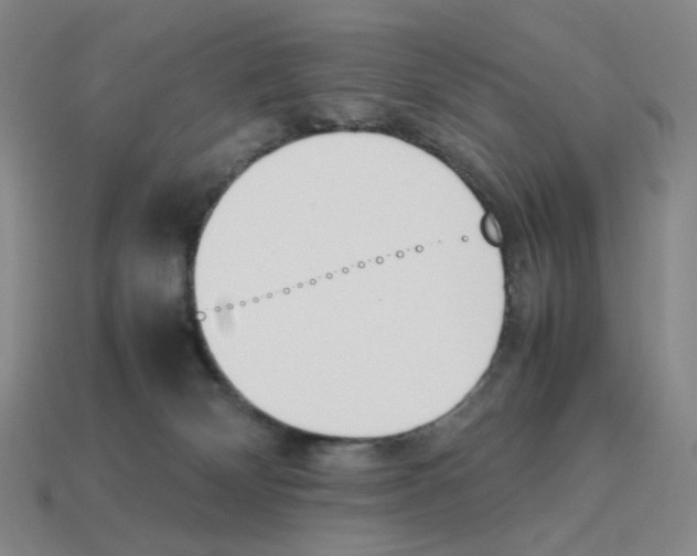 X0000114230132200911061535
