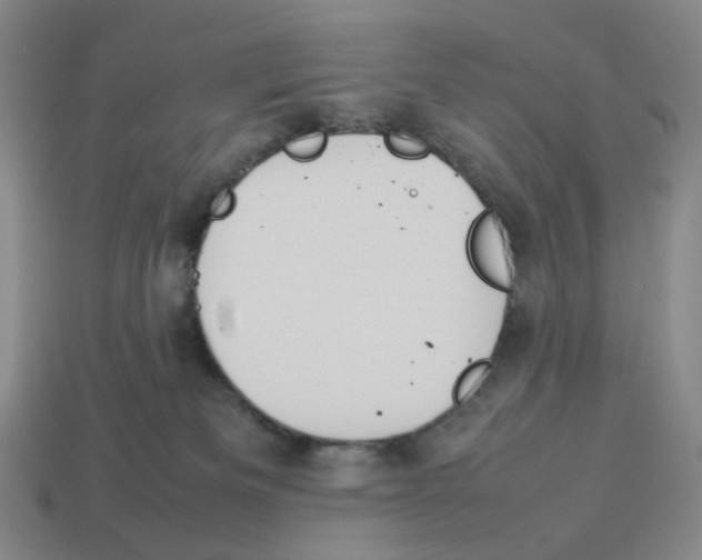 X0000114230133200911061535