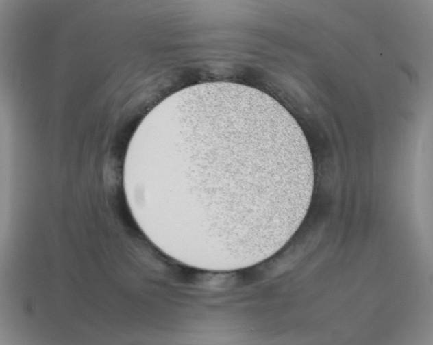 X0000114230135200911061535