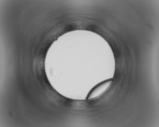 X0000114230137200911061535
