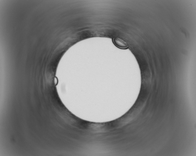 X0000114230139200911061535