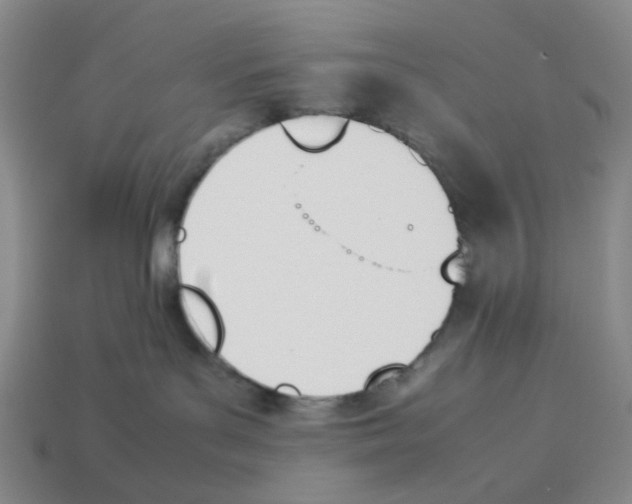 X0000114230143200911061535
