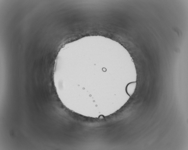 X0000114230144200911061535