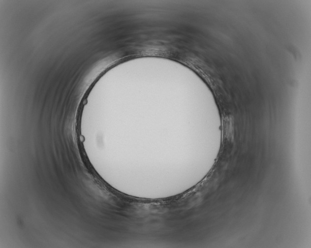 X0000114230147200911061534