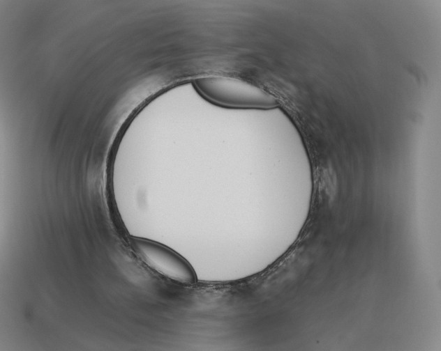 X0000114230148200911061534
