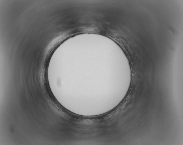X0000114230149200911061534