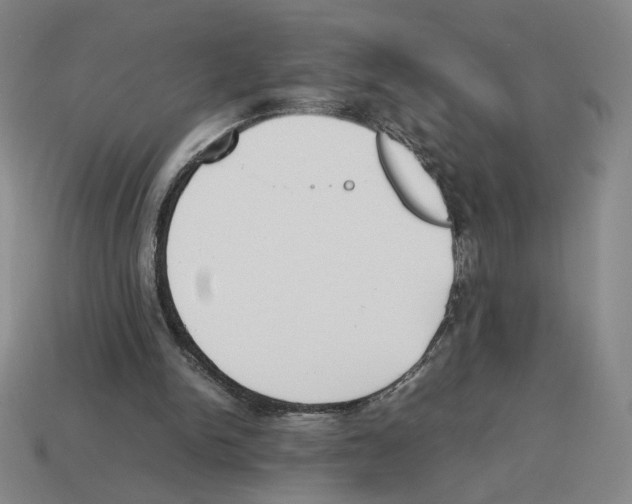 X0000114230150200911061535