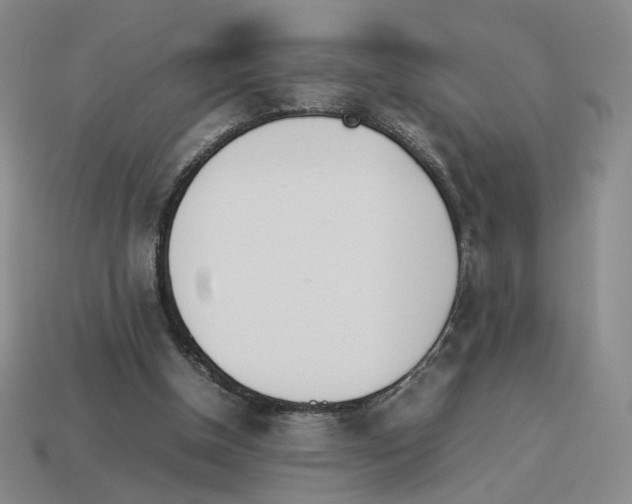 X0000114230154200911061535