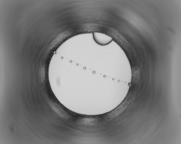 X0000114230158200911061535