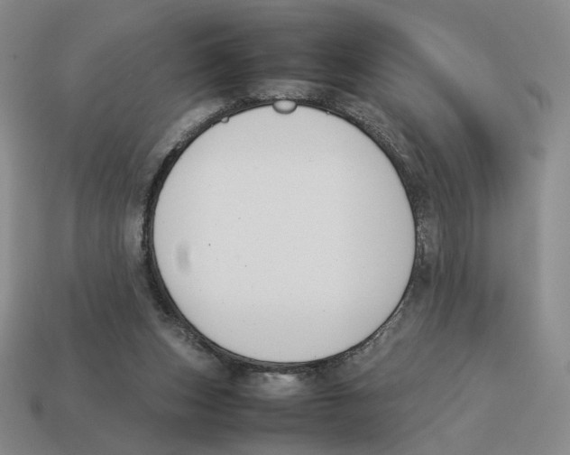 X0000114230159200911061535