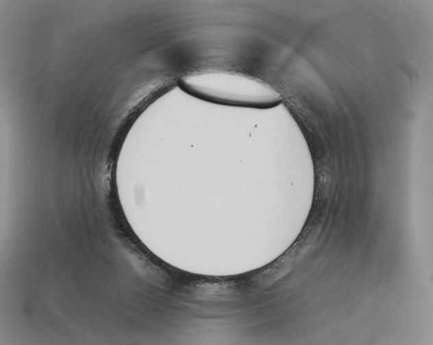 X0000114230160200911061535