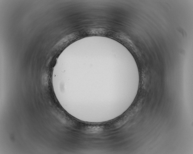 X0000114230161200911061535