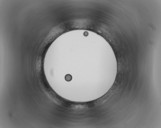 X0000114230163200911061535