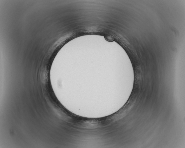 X0000114230164200911061535