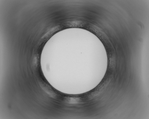 X0000114230165200911061535