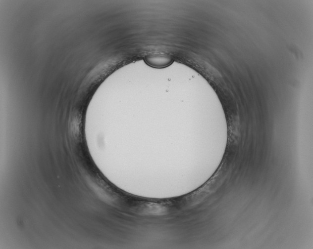 X0000114230166200911061535