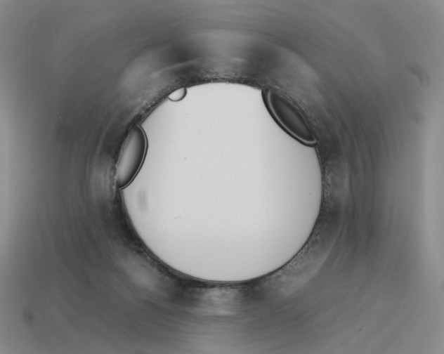 X0000114230168200911061535