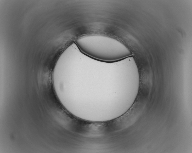 X0000114230172200911061535