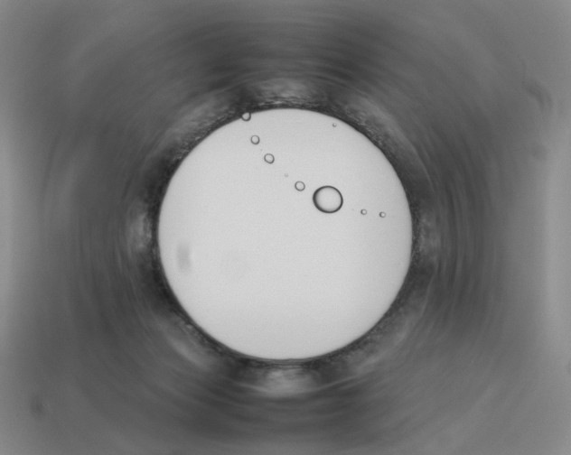 X0000114230173200911061535