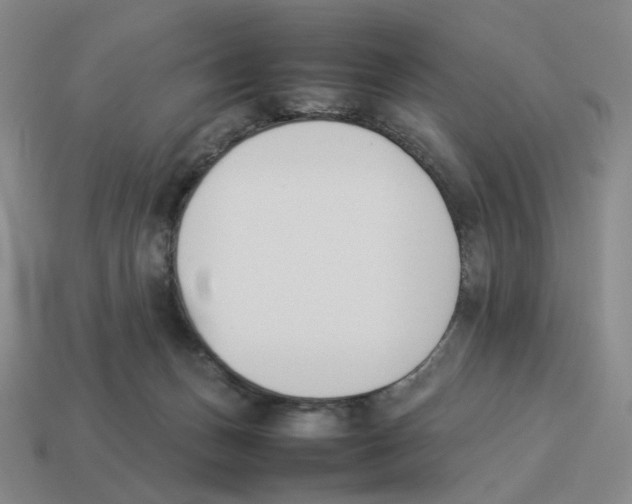 X0000114230175200911061535