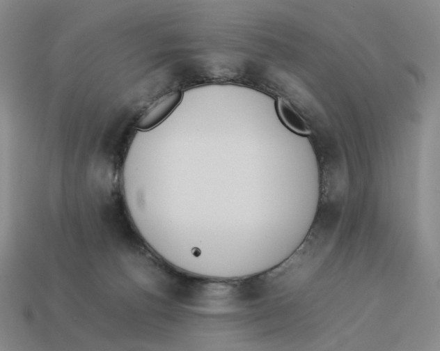 X0000114230176200911061535