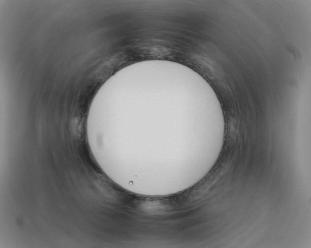 X0000114230177200911061535
