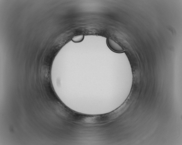 X0000114230178200911061535