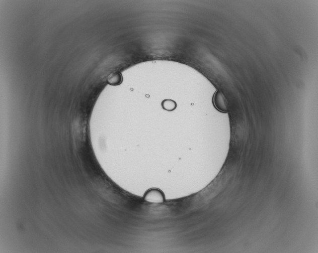 X0000114230180200911061535