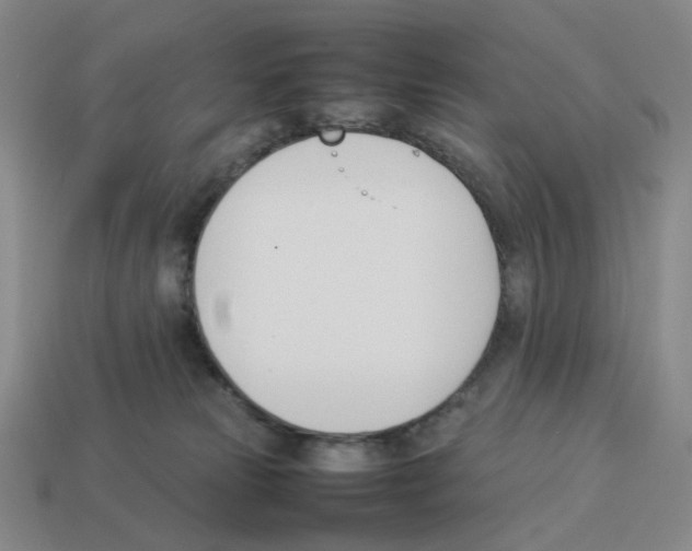 X0000114230181200911061535