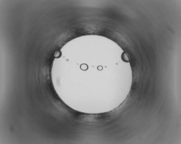 X0000114230182200911061535