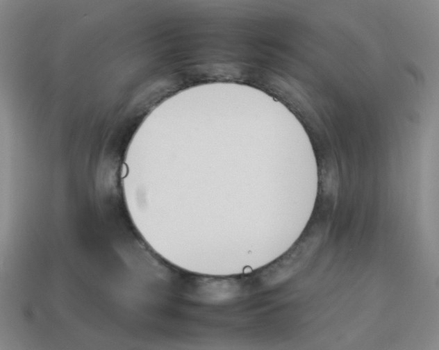 X0000114230185200911061535