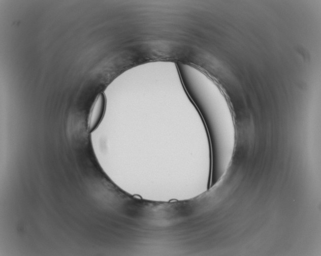 X0000114230186200911061535
