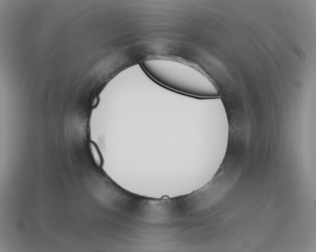 X0000114230188200911061535