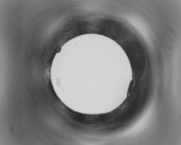 X0000114230190200911061535
