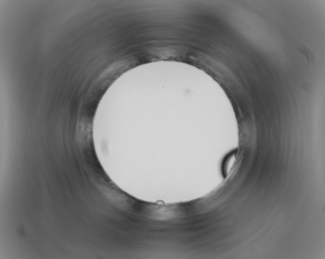 X0000114230191200911061535