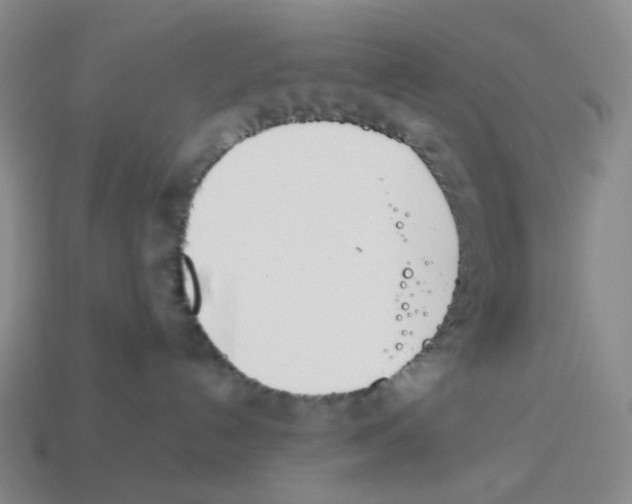 X0000114230192200911061535