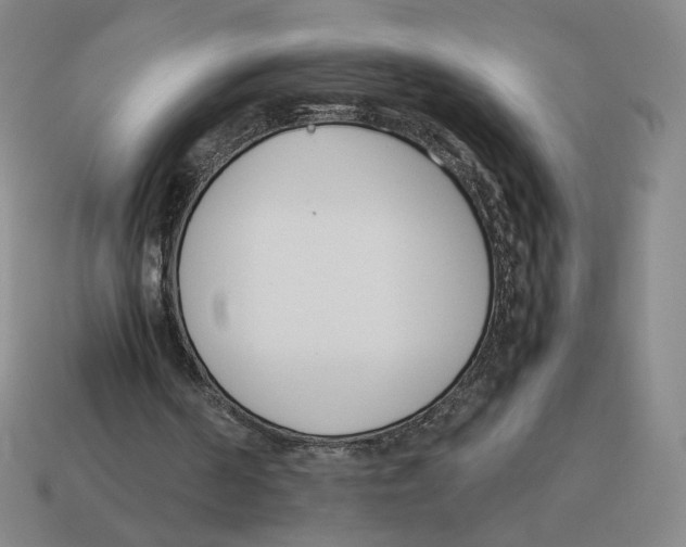 X0000114230194200911061534