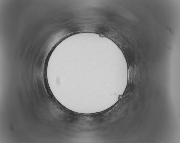 X0000114230195200911061534