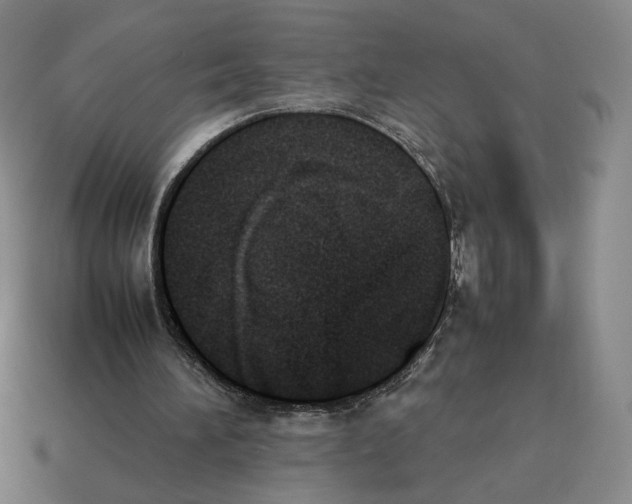 X0000114230196200911061534