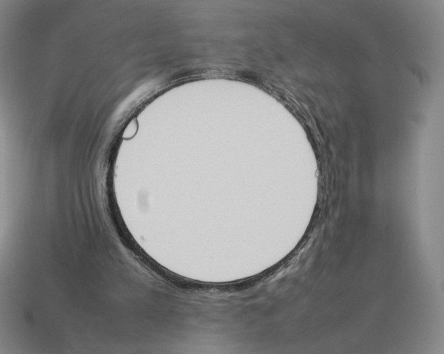 X0000114230197200911061534