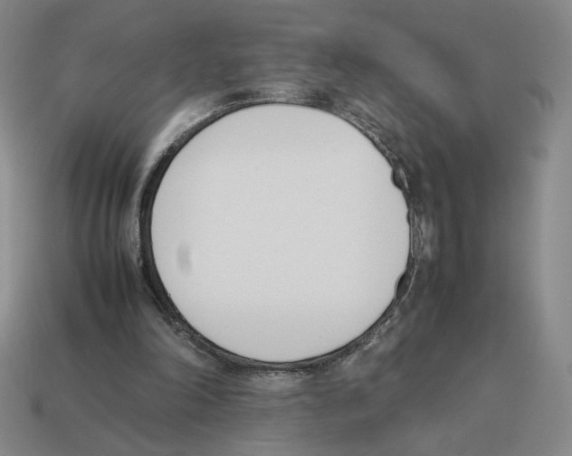 X0000114230198200911061534