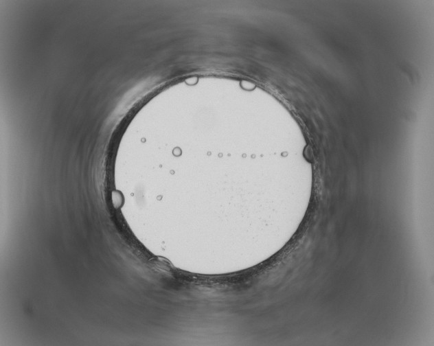 X0000114230199200911061534