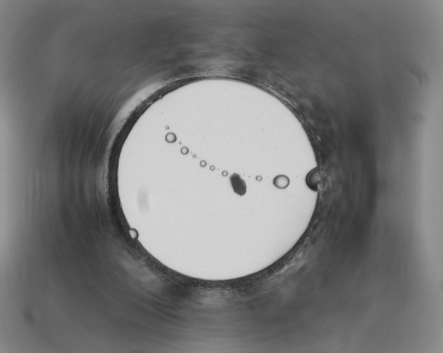 X0000114230200200911061534