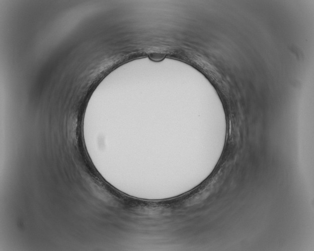 X0000114230201200911061534